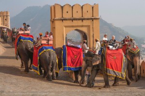 elephant ride in rajasthan