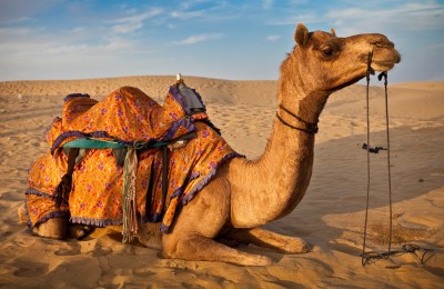 rajasthan historical tours