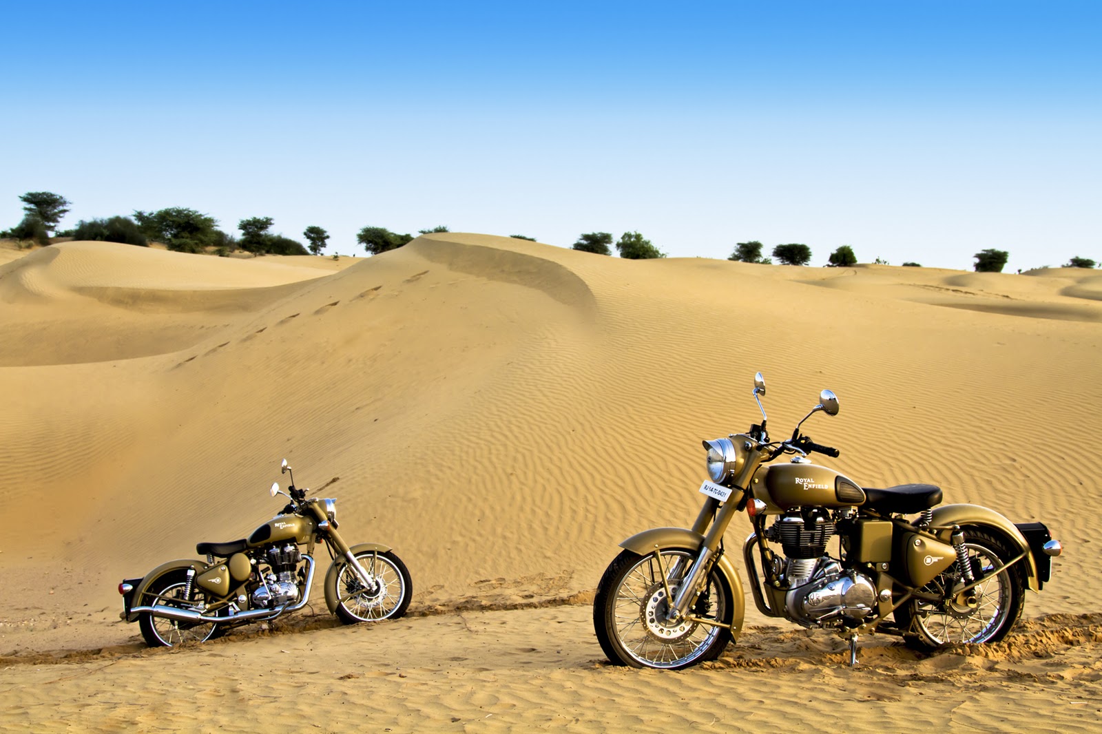 desert raja tours